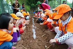 Một ngày ở trang trại