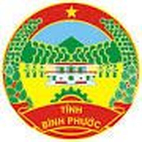 Thiết kế website tại Bình Phước