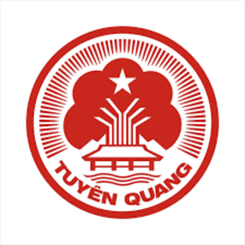 Xậy dựng website chuyên nghiệp  chuẩn SEO tại Tuyên Quang
