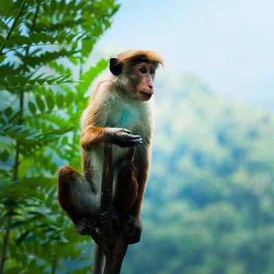 Tour du lịch Thái Lan