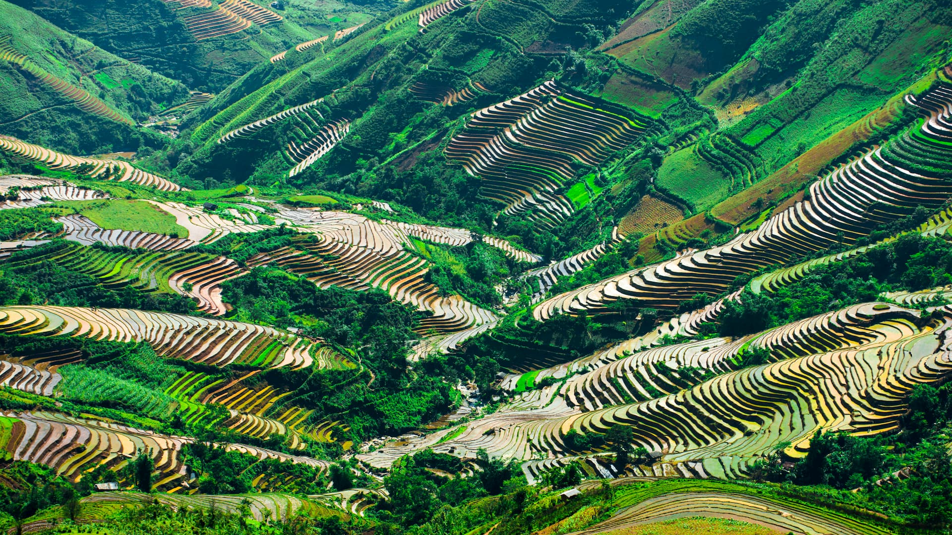 Giải Golf Saigontourist Group vì cộng đồng: 15 năm vì sứ mệnh cộng đồng (2006 – 2020)