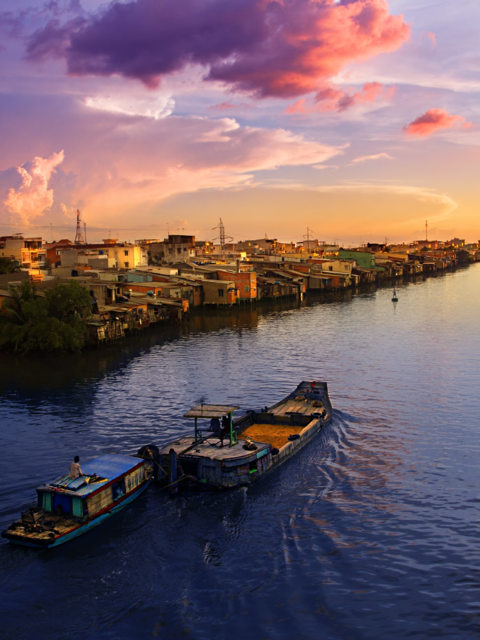 Tin tức