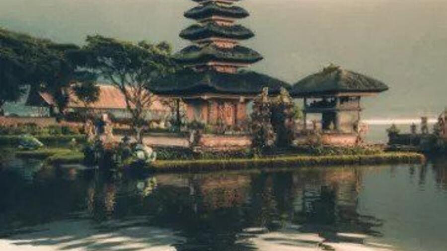 Hành trình đồng hành cùng những người bạn mới
