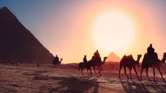 A trip to the mighty desert