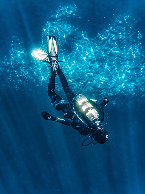Scuba Diving