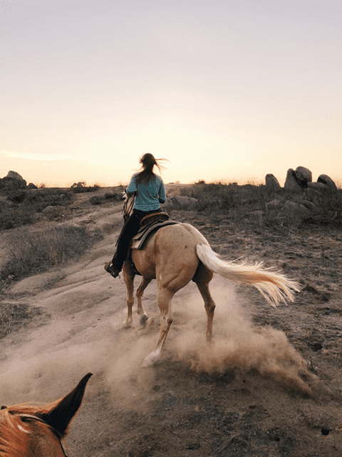 Horse riding