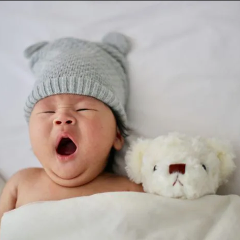 Thư viện ảnh