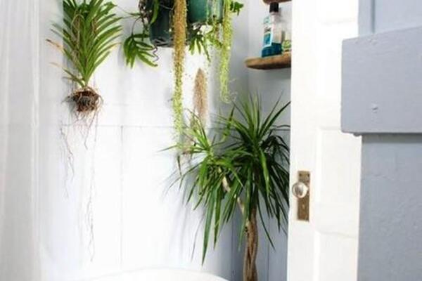 Biến phòng tắm thành nơi xả stress sau một ngày nắng nóng
