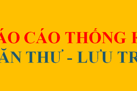Báo cáo thống kê công tác văn thư, lưu trữ và tài liệu lưu trữ năm 2017
