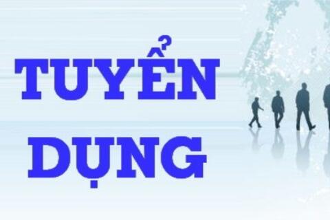 Thông báo về việc tuyển dụng lao động thời vụ thực hiện chỉnh lý tài liệu lưu trữ