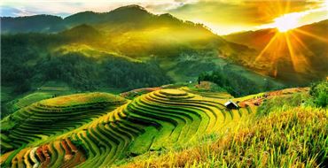 Sapa