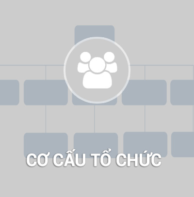 Cơ cấu tổ chức