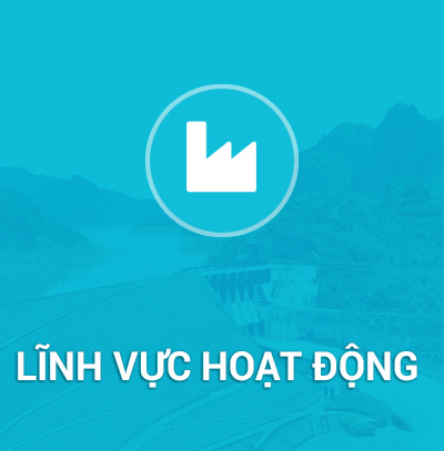 Lĩnh vực hoạt động