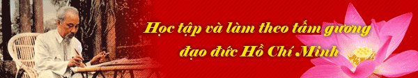 Liên kết website